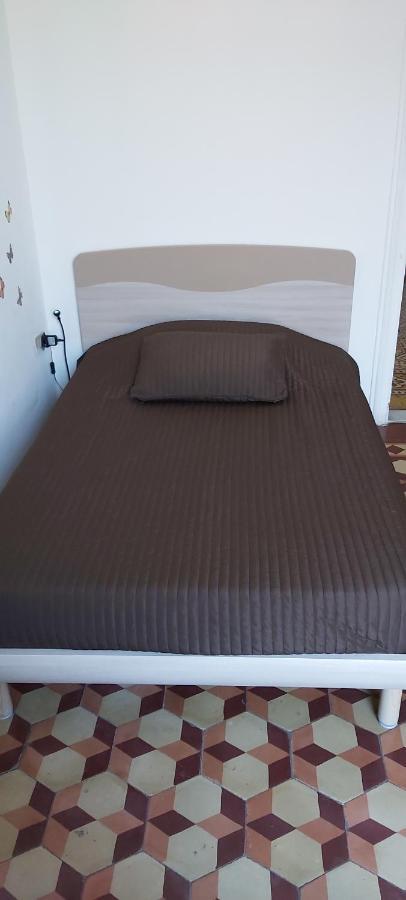 Arena Alfieri B&B Livorno Bagian luar foto