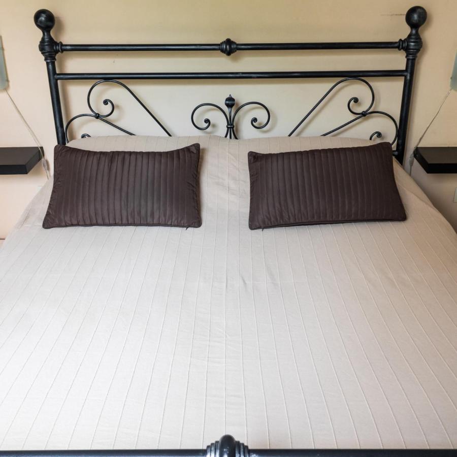 Arena Alfieri B&B Livorno Bagian luar foto