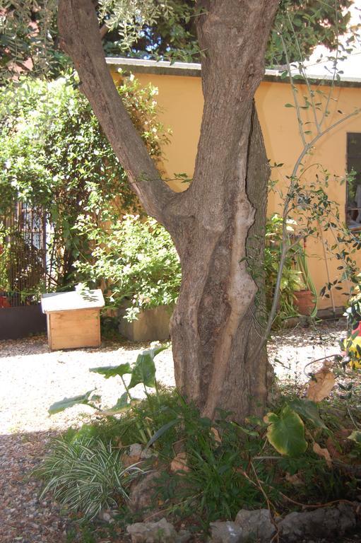 Arena Alfieri B&B Livorno Bagian luar foto