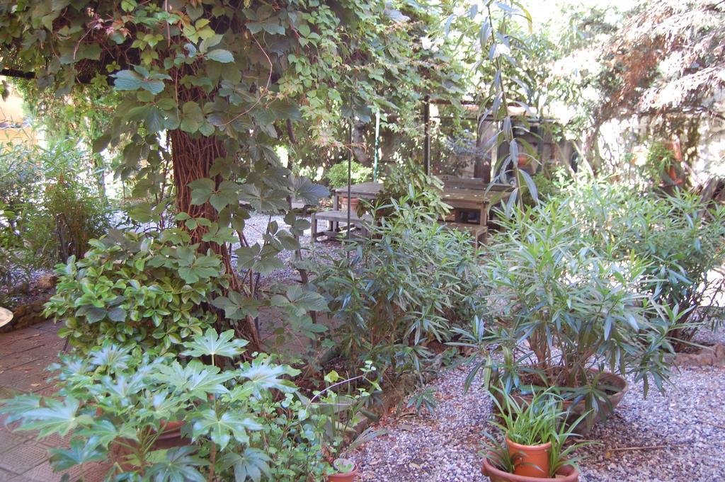 Arena Alfieri B&B Livorno Bagian luar foto
